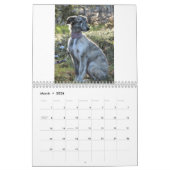 2011 seidene Windhound Welpen Kalender (Mär 2026)