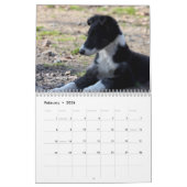2011 seidene Windhound Welpen Kalender (Feb 2026)