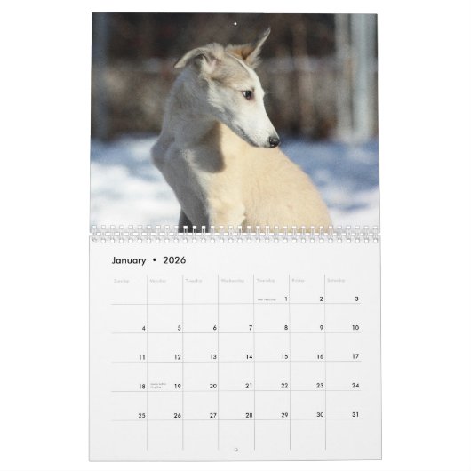 2011 seidene Windhound Welpen Kalender (Jan 2026)