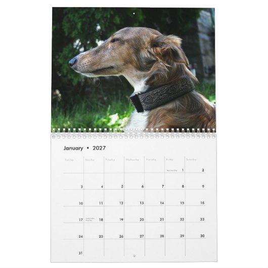 2011 seidenes Windhounds 2011 (Erwachsene) Kalender (Jan 2027)