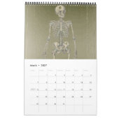 2011 SKULL/SKELETON/ANATOMY - Tang13. Kalender (Mär 2027)