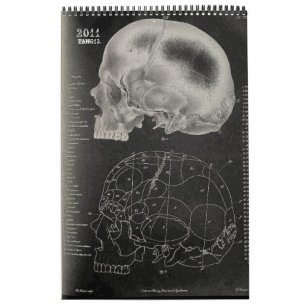 2011 SKULL/SKELETON/ANATOMY - Tang13. Kalender