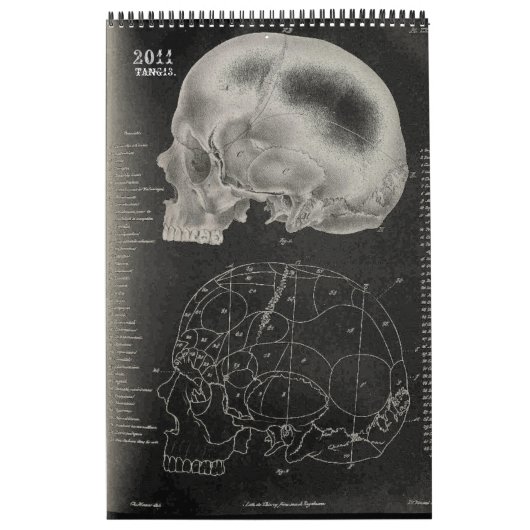 2011 SKULL/SKELETON/ANATOMY - Tang13. Kalender (Titelbild)
