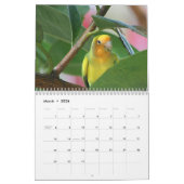 2011 Tier-Kalender hergestellt durch Aremac Kalender (Mär 2026)