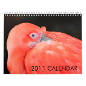 2011 Tier-Kalender hergestellt durch Aremac Kalender (Titelbild)
