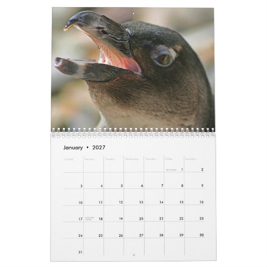 2011 Tier-Kalender hergestellt durch Aremac Kalender (Jan 2027)