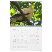 2011 Vögel Kalender (Mär 2027)