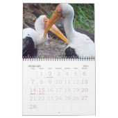 2011 Vögel Kalender (Feb 2027)