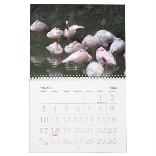 2011 Vögel Kalender (Jan 2027)