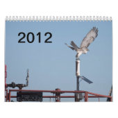 2012 Brunnen-Ranch Kalender (Titelbild)