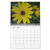 2012 Gänseblümchen-Wandkalender Kalender (Mär 2027)