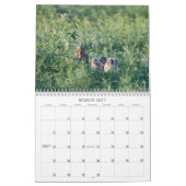 2012 grabende Eulen Kalender (Mär 2027)