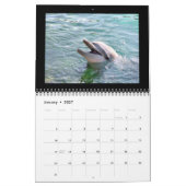 2012 Kalender-Delphin-Fotografie Kalender (Jan 2027)