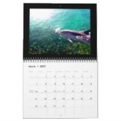 2012 Kalender-Delphin-Fotografie Kalender (Mär 2027)