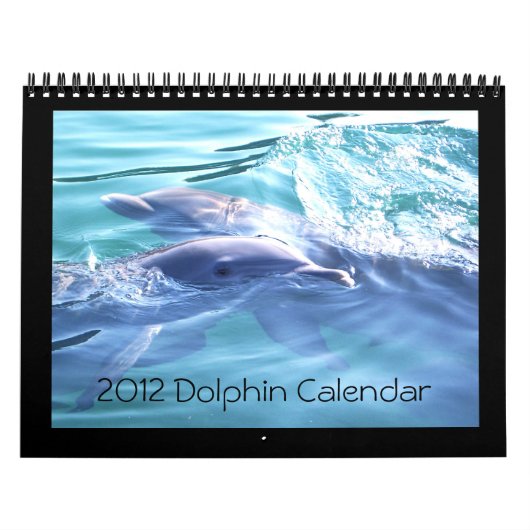 2012 Kalender-Delphin-Fotografie Kalender (Titelbild)