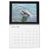 2012 Kalender-Delphin-Fotografie Kalender (Jan 2026)