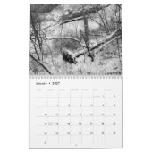 2012 landschaftlicher Kalender (Jan 2027)