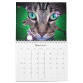 2012 niedliche Katzen Kalender (Mär 2027)