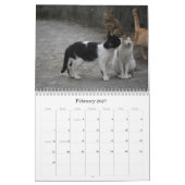 2012 niedliche Katzen Kalender (Feb 2027)