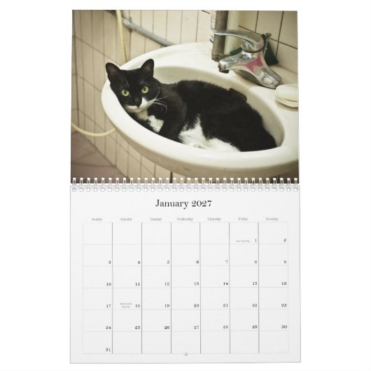 2012 niedliche Katzen Kalender (Jan 2027)