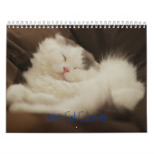 2012 niedliche Katzen Kalender (Titelbild)