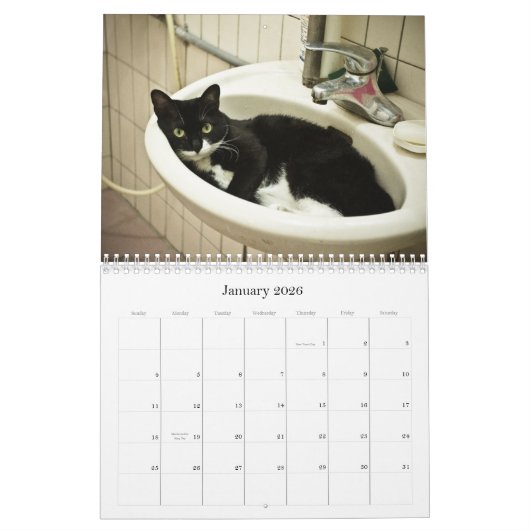 2012 niedliche Katzen Kalender (Jan 2026)