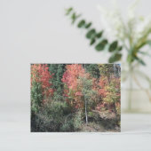 2012 POSTKARTE (Stehend Vorderseite)