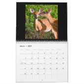 2012 Rotwild-Liebhaber-Kalender Kalender (Mär 2027)