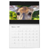 2012 Rotwild-Liebhaber-Kalender Kalender (Feb 2027)