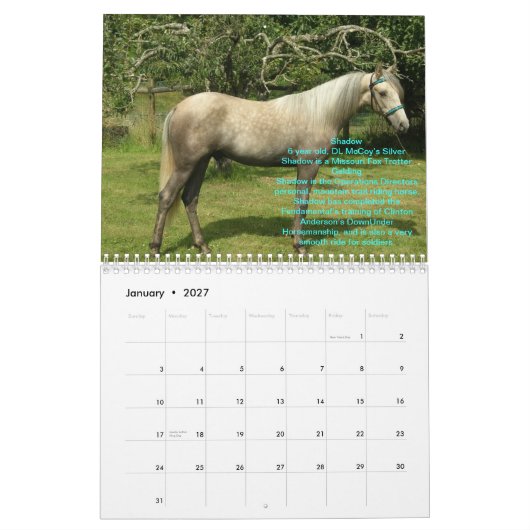 2012 RTR Pferdekalender Kalender (Jan 2027)
