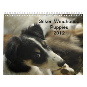 2012 seidene Windhounds Welpen 2 Kalender