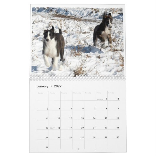 2012 seidene Windhounds Welpen 2 Kalender (Jan 2027)