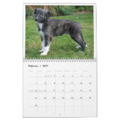2012 seidene Windhounds Welpen 2 Kalender (Feb 2027)