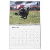 2012 seidenes Windhounds im Aktionskalender Kalender (Mär 2027)