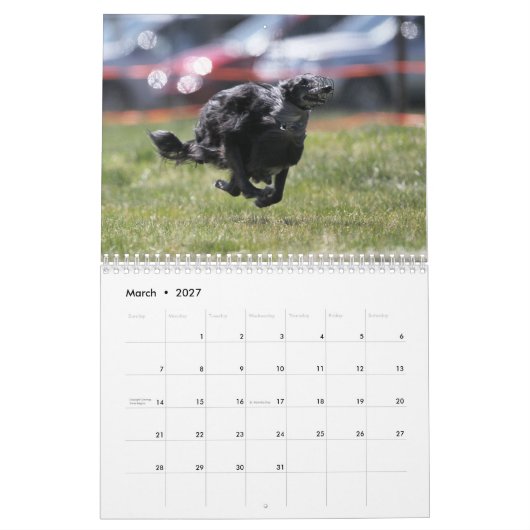 2012 seidenes Windhounds im Aktionskalender Kalender (Mär 2027)