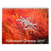 2012 Unterwasserreise-Meeresflora und Kalender (Titelbild)