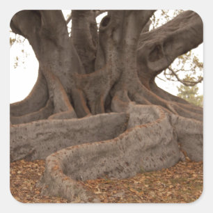 20130615_cal13_0249.jpg quadratischer aufkleber