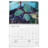 2013 12-monatiger Kalender (Feb 2027)