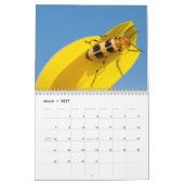 2013-14 der 12-monatige Kalender des (Mär 2027)