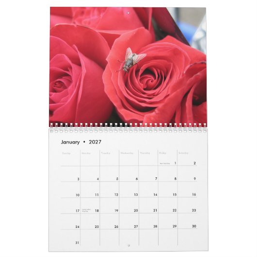 2013-14 der 12-monatige Kalender des (Jan 2027)