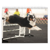 2013 Australier-Schäfer-Agility-Kalender Kalender (Titelbild)