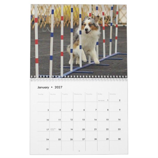 2013 Australier-Schäfer-Agility-Kalender Kalender (Jan 2027)