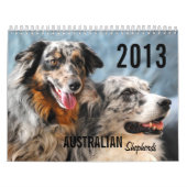 2013 Australier-Schäfer-Hundekalender Kalender (Titelbild)