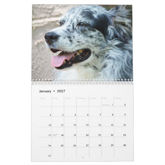 2013 Australier-Schäfer-Hundekalender Kalender (Jan 2027)