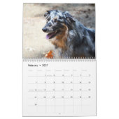 2013 Australier-Schäfer-Hundekalender Kalender (Feb 2027)