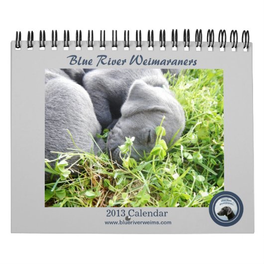 2013 Blau-Fluss Weimaraners Kalender (Titelbild)