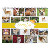2013 Corgis! Kalender (Titelbild)