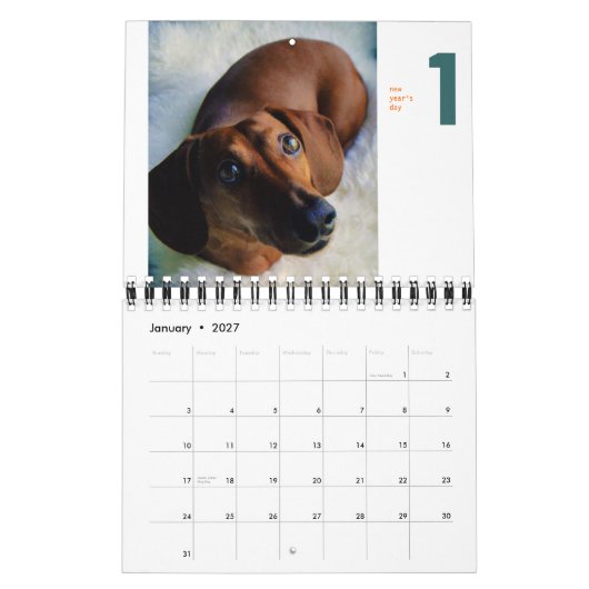 2013 Dackel-Kalender - kleines chumley Kalender (Jan 2027)