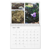 2013 das Jahr Ellis am hohlen Garten-Kalender Kalender (Mär 2026)
