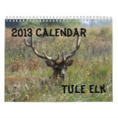 2013 Elch-Kalender Kalender (Titelbild)